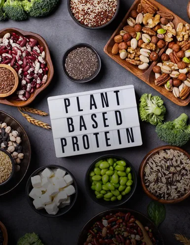 Protein-Rich Meal Ideas for Men & Women to Stay Fit and Healthy