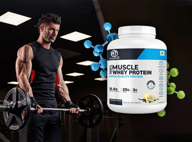 Best Low-Carb Protein Supplements for Muscle Building and Recovery