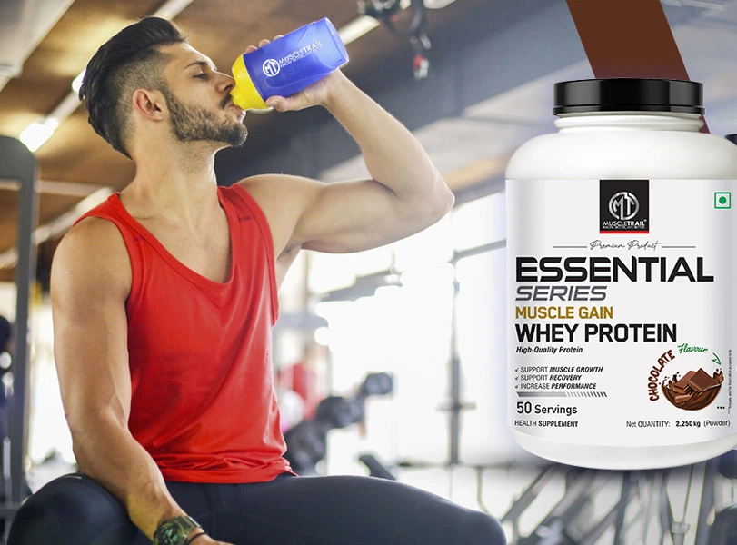 A Brief Introduction to Whey Protein for Beginners