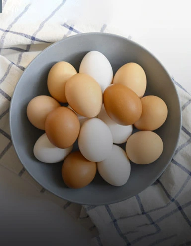 Are Eggs Really Healthy: Explained